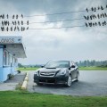 subaru-legacy-respect-pigeons-big