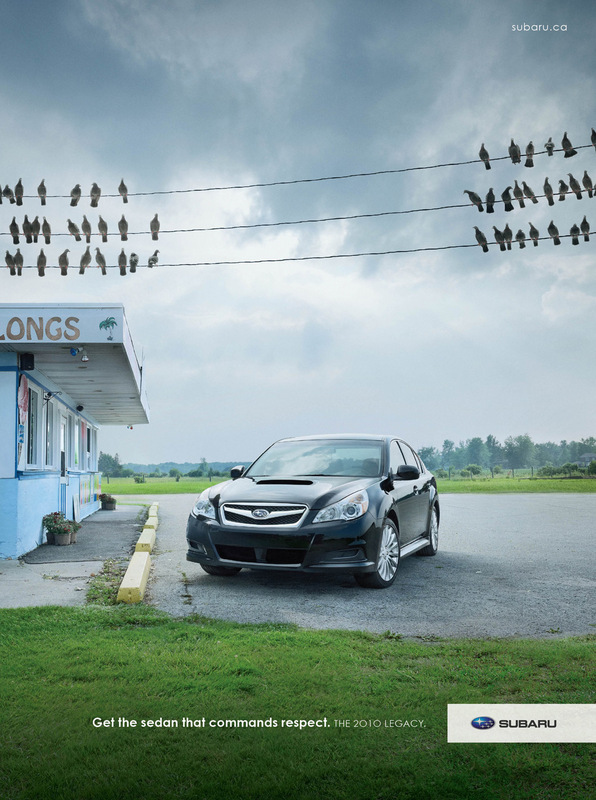 subaru-legacy-respect-pigeons-big